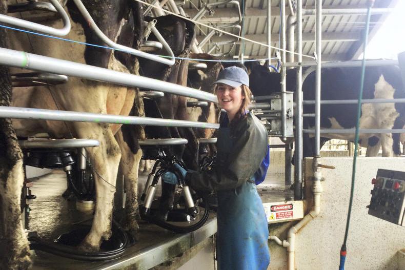 student-blog-arriving-on-a-new-zealand-dairy-farm-13-march-2017-free