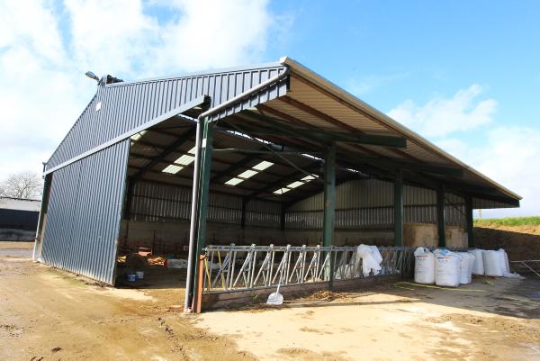 Labour efficient flexible sheds on a 170-cow dairy farm 13 August 2014 Free