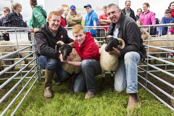 Irish Farmers Journal 2014 Heifer and Hogget final 19 August 2014 Free