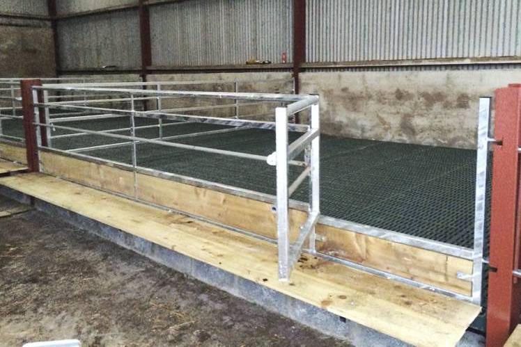 in pictures: sheep slat installation and costs 28 october