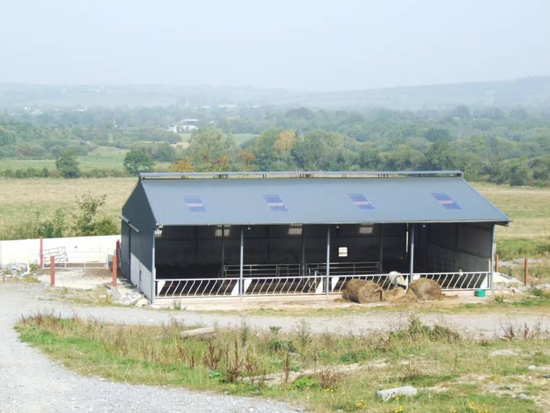 A four-bay suckler shed with calf creep 15 April 2016 Premium