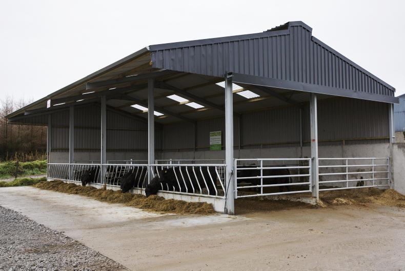 Watch Bespoke Shed For Pedigree Cattle In Cork 17 May 2017 Premium