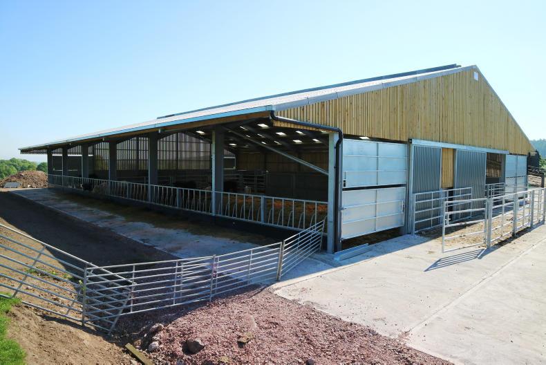 handling-unit-central-to-beef-shed-design-30-may-2018-premium