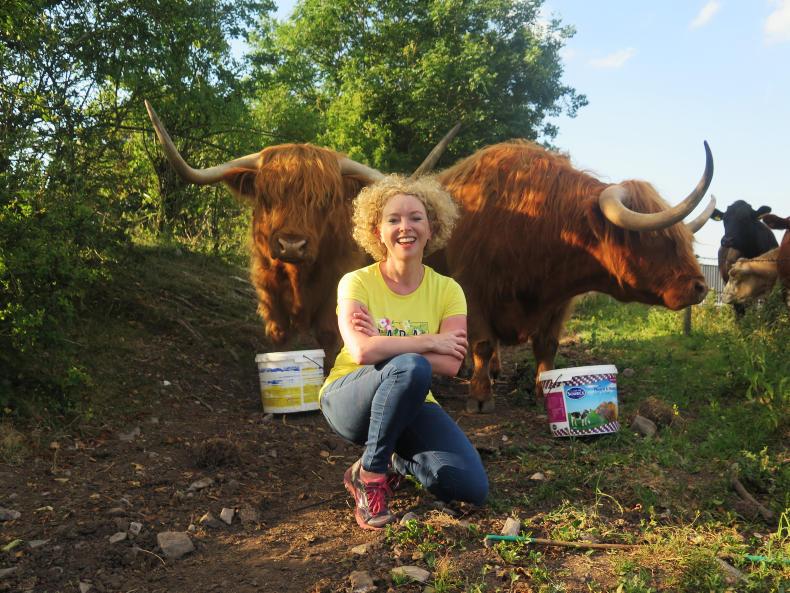 My Farming Week Michelle Shaughnessy Graffogue Ballinalee Co