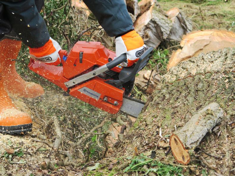 Chainsaw Safety Seminar To Highlight Over 200 Yearly