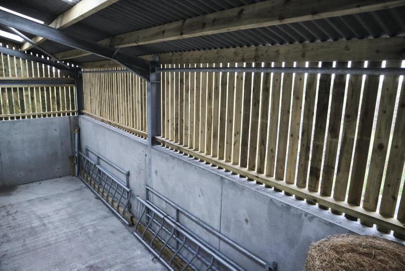 Calf Shed Talks: ventilation options examined - Free