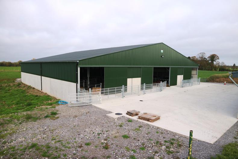 Tidy suckler shed for 20-cow herd 01 May 2013 Premium