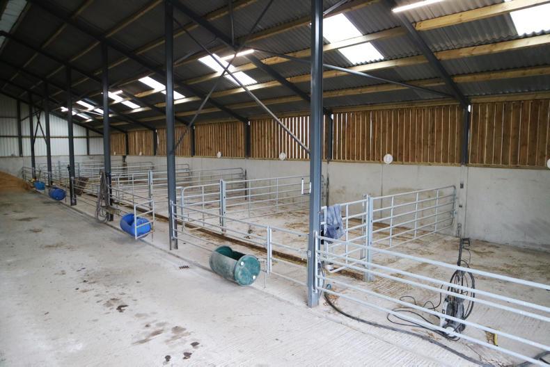 Watch: major investment in 150 calf shed - Premium