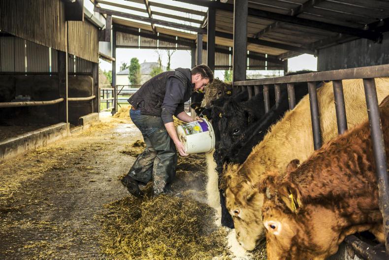 Setting up a paddock grazing system 27 May 2016 Free