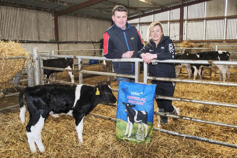 Kerry Farmer Installs Latest Volac Computerised Feeder 06 February