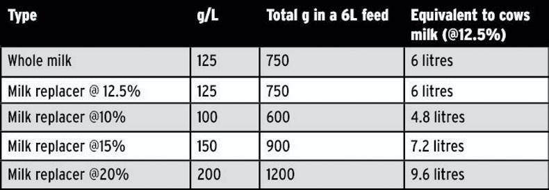 Calf Milk Replacer Feeding Chart