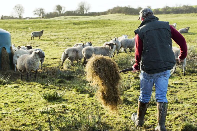 Cap payments to store irish farmers