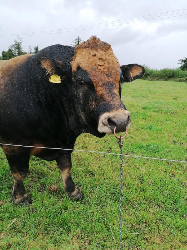 In pictures: your €2,000 farm safety competition entries - Free