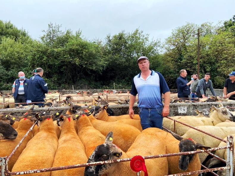 In pictures: farmers battle it for sheep at Borris Mart breeders sale ...