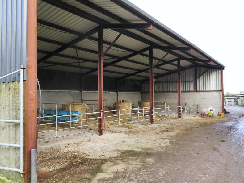 Labour saving on display at Limerick farm - Free