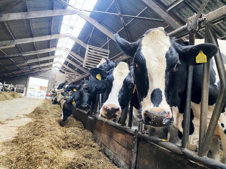 In pictures: 130-cow dairy farm in the Netherlands - 25 December 2022 Free