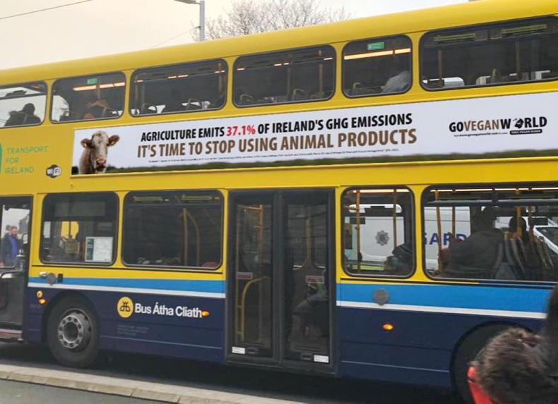 Disgraceful' vegan ads on Dublin Bus - TD - Free