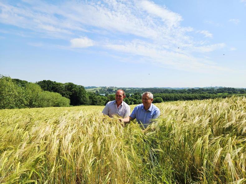 Simon Says +Good Field - The ABGB