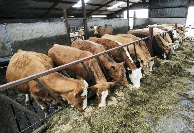 https://www.farmersjournal.ie/WEBFILES/000/787/841/2070441-787841.jpg