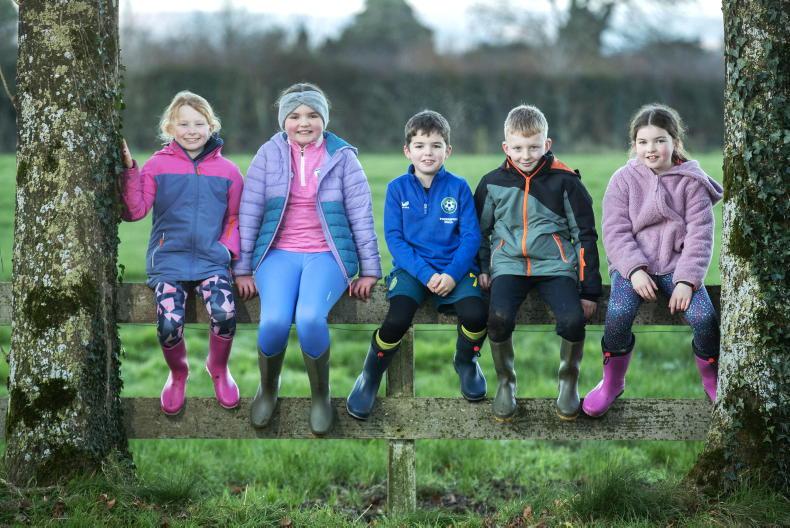 Embrace FARM launches 'Wear Our Wellies' Day