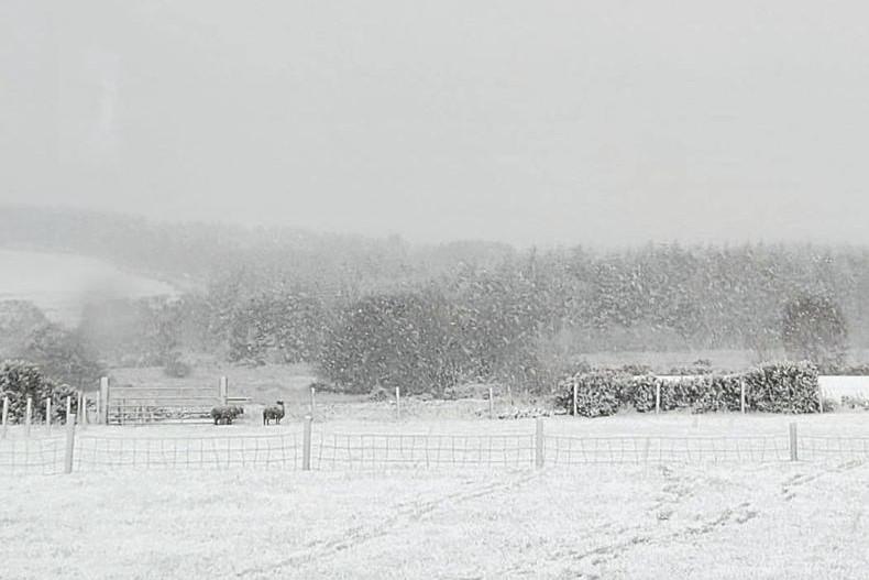 Covered in a blanket of online snow